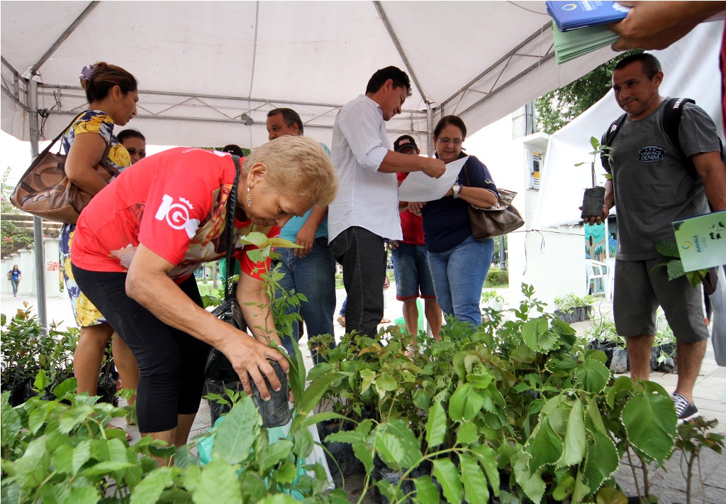 Prefeitura distribui mudas no Centro em comemoração ao aniversário da cidade