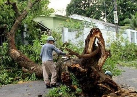 Com chuva, Defesa Civil registra 14 chamados
