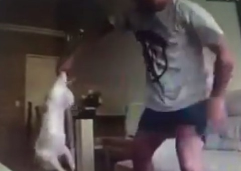 Vídeo de suposto empresário agredindo cachorro revolta internautas e famosos