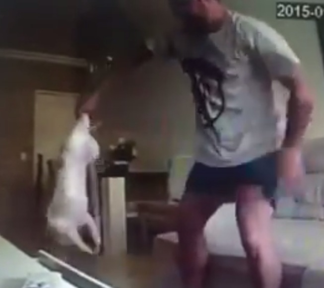 Vídeo de suposto empresário agredindo cachorro revolta internautas e famosos