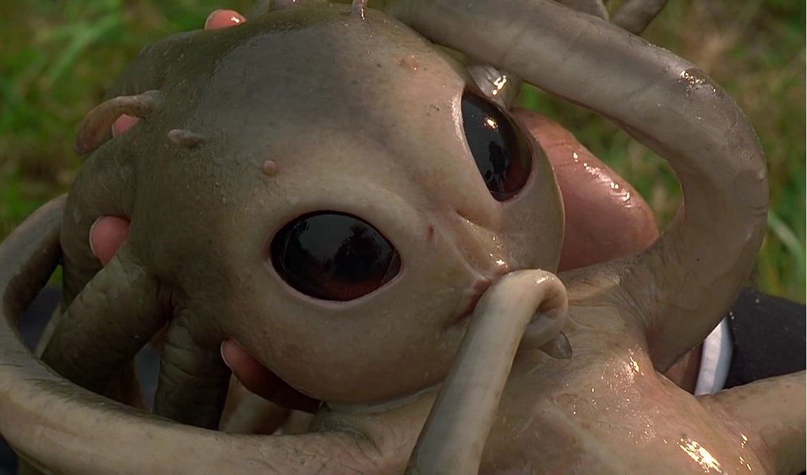 NASA admite a existência de vida extraterrestre