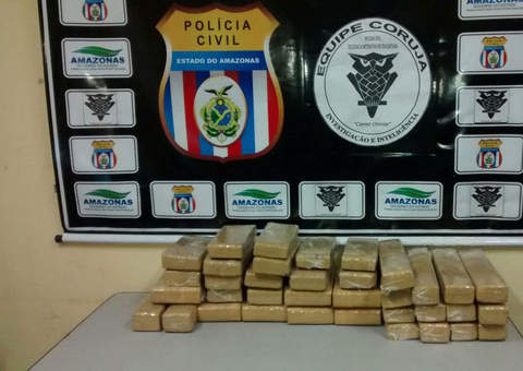 Maconha do Pará apreendida pela Polícia Civil em Itacoatiara