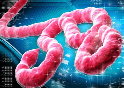 Cientista inglês afirma que o vírus "Ebola" veio do espaço