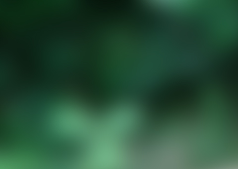 Cadáver é encontrado com as mãos e pés amarrados embaixo do Linhão de Tucuruí