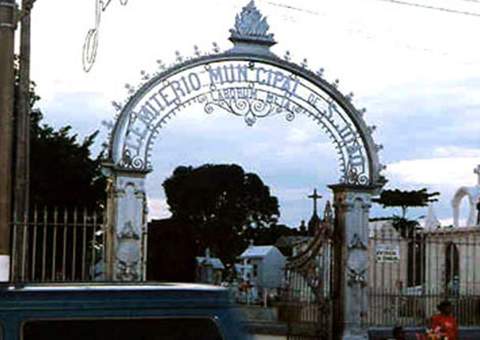  Cadela que morava no Cemitério São João Batista é morta a chutes