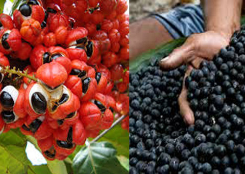 Com dólar em alta vender para os EUA se tornou um grande negócio, diz CIN-AM