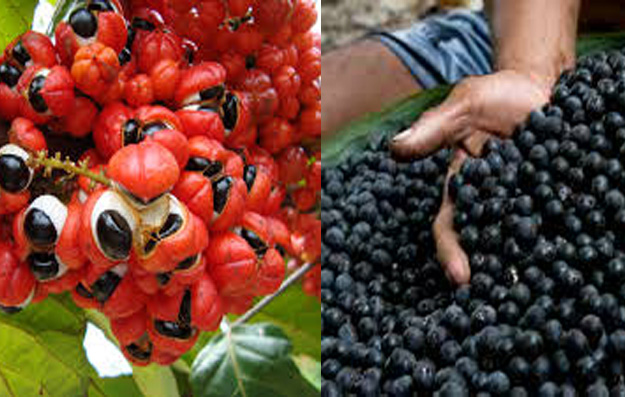 Com dólar em alta vender para os EUA se tornou um grande negócio, diz CIN-AM