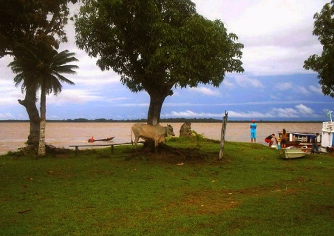 Governo do Estado concede anistia a agricultores afetados pela cheia
