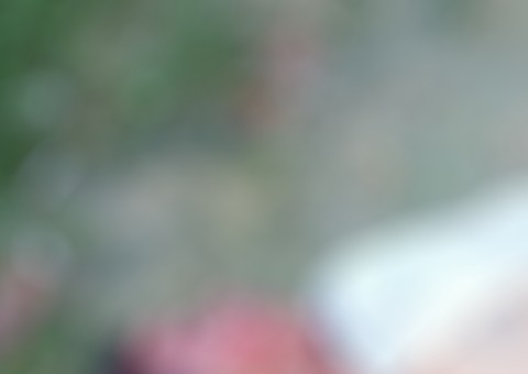 Durante assalto, dono de padaria desarma ladrão e o mata a tiros