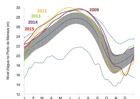 Projeção do Inpa diz que cota do Rio Negro deve atingir 29,03m