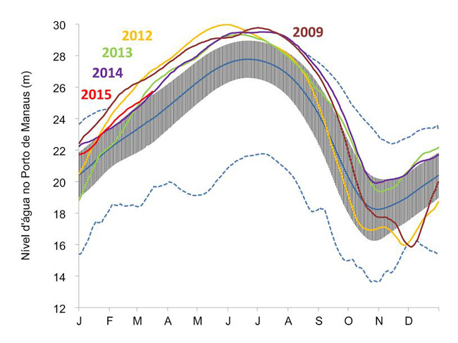 Projeção do Inpa diz que cota do Rio Negro deve atingir 29,03m