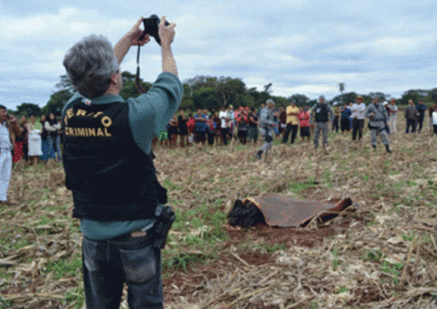 Criança é devorada por cães após ser estuprada