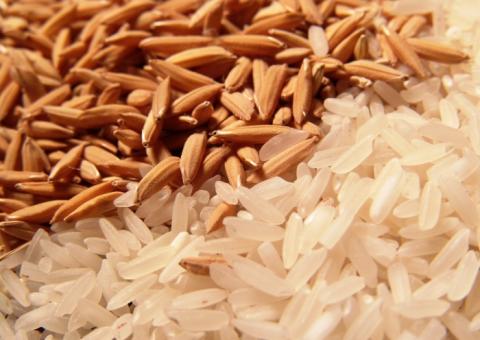 Conab compra 5 mil toneladas de arroz para o Fome Zero