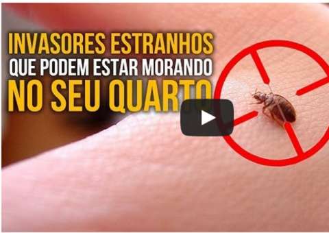 Invasores estranhos que podem estar morando no seu quarto