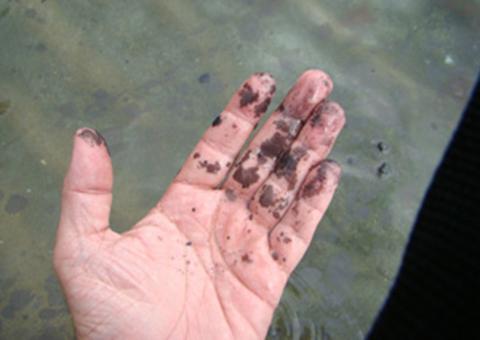 Transpetro deve responder por vazamento no Rio Negro