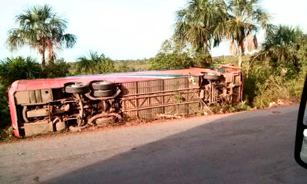 Mulher morre com o tombamento de um ônibus na BR-174