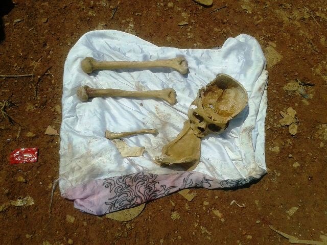 Ossada humana é encontrada no lixão da capital