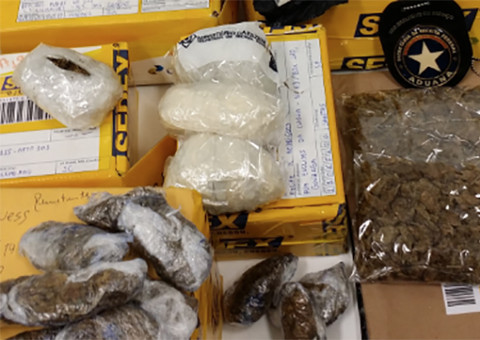 Alfândega do Porto apreende drogas e mais de 1 kg de ouro nos Correios
