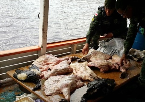 590 kg de pescado e carne de animais silvestres são apreendidos