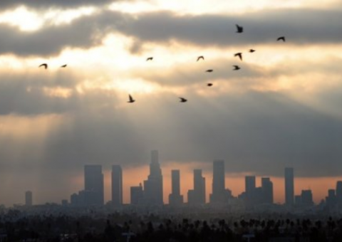 Concentração de CO2 na atmosfera atinge nível histórico