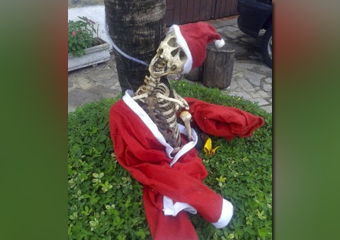 Enfeite natalino vira caso de polícia e apavora vizinhos