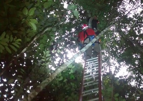 Bombeiros resgatam paraquedistas que caíram em mata do Cigs