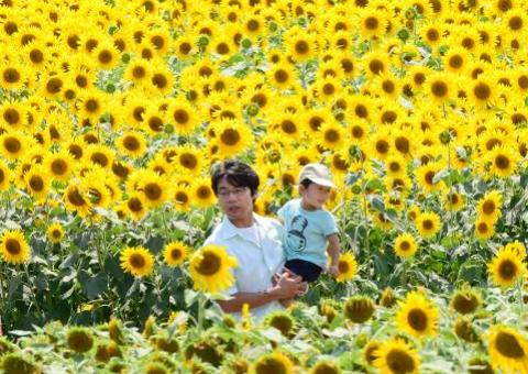 Homens com testículos menores seriam mais paternais, diz estudo