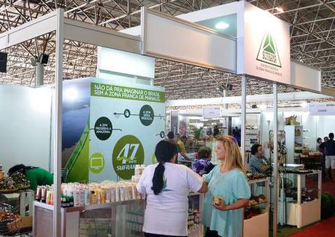 Pau caído é fator que valoriza artesanato da Amazônia