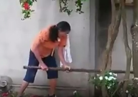 Mãe e filha são detidas após espancarem cachorro até a morte; veja vídeo