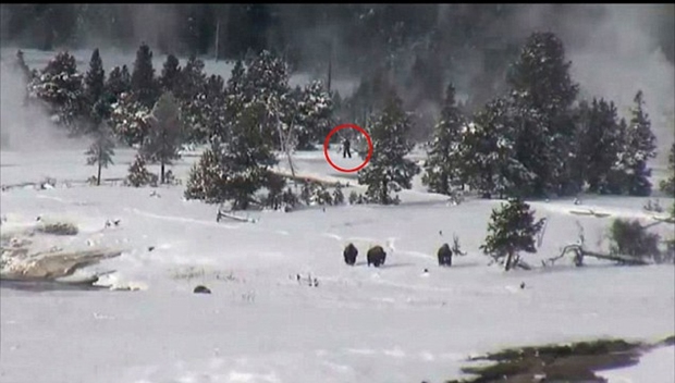 Criatura estranha é filmada em parque nacional dos EUA e gera polêmica