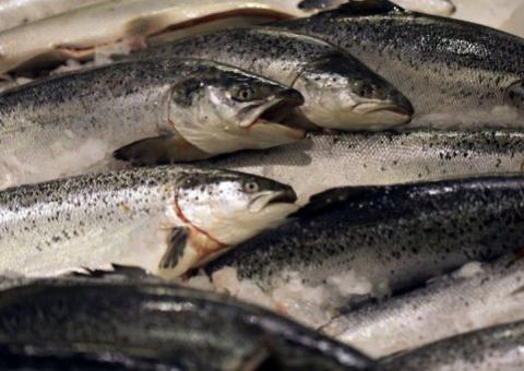 Estudo sugere que comer peixe é receita de longevidade