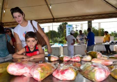 Tenda do Peixe vende 30 toneladas de pescado em três dias