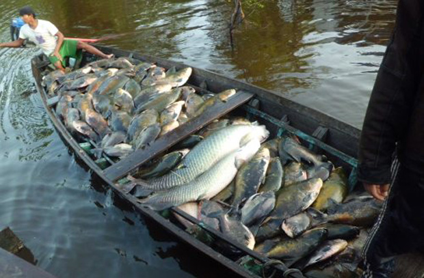 Prefeitura distribui 50 toneladas de pescado na Semana Santa