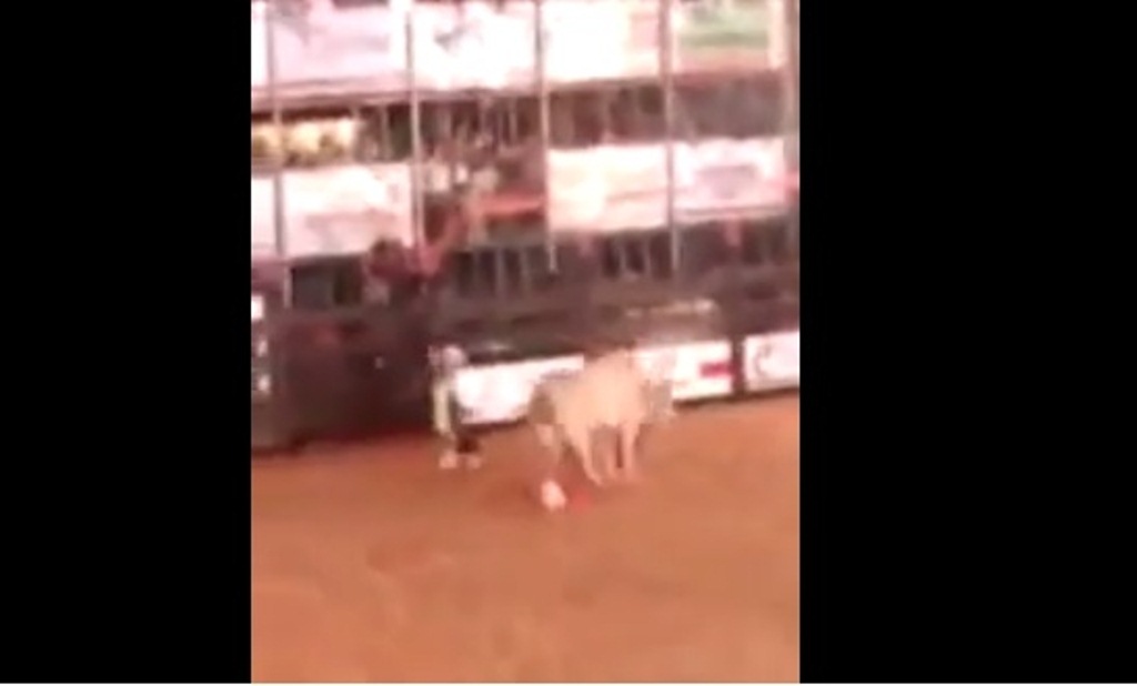  Peão que foi dublê de Murilo Benício morre após ser pisoteado por touro em rodeio