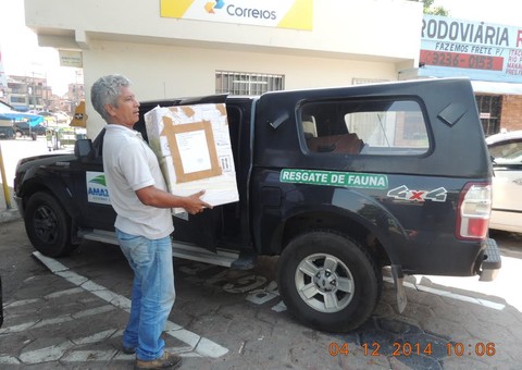 Amazonas envia periquitos para exame toxicológico em Minas Gerais