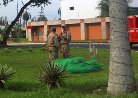 Periquitos: Ipaam reúne com síndicos da Efigênio