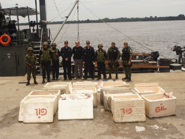  Marinha apreende 1,5 tonelada de pirarucu em barco irregular no Rio Negro