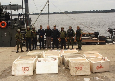  Marinha apreende 1,5 tonelada de pirarucu em barco irregular no Rio Negro