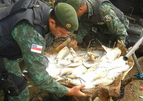 Pescado irregular para o comércio é apreendido no Cacau Pirera