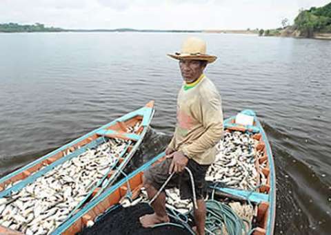 Justiça proíbe União de suspender emissões de carteiras de pescadores artesanais no Amazonas