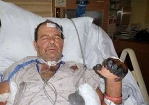 Peste negra: aposentado fica à beira da morte após levar mordida de gato