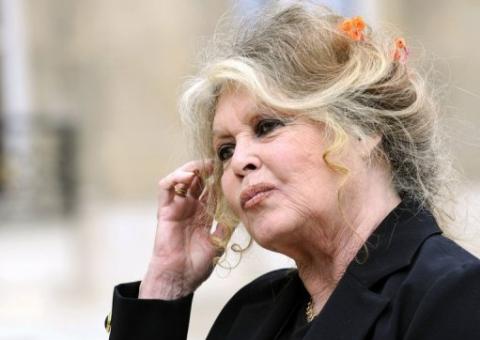 Bardot pede que Tailândia acabe com tráfico de cães