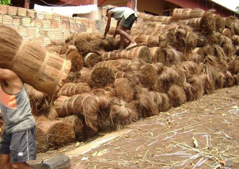 Justiça bloqueia R$ 255 mil de empresário processado por trabalho escravo em Barcelos