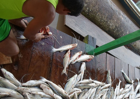Termo de cooperação irá fiscalizar alimentos de origem animal