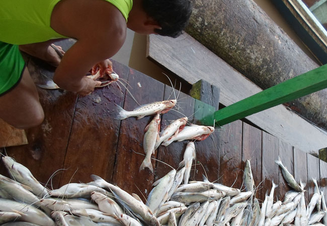 Termo de cooperação irá fiscalizar alimentos de origem animal