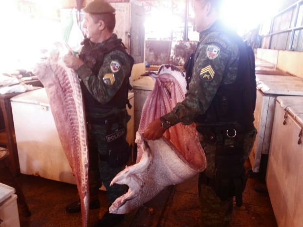 250 kg de de carne de pirarucu são apreendidos na Feira da Panair