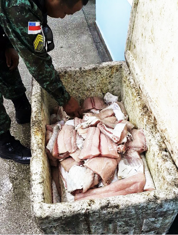 Pirarucu comercializado sem autorização é apreendido no Nova Floresta