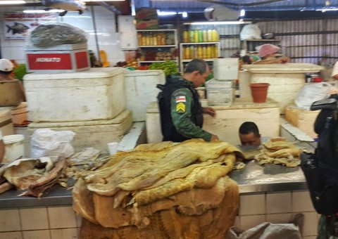 Polícia ambiental apreende cerca de 2 toneladas  pirarucu  em Manaus