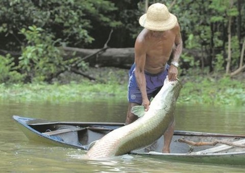  Agenda ambiental prioriza licenciamento para aquicultura