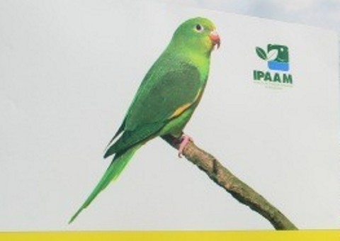 Placas de advertência na Efigênio Sales para "evitar" morte de periquitos